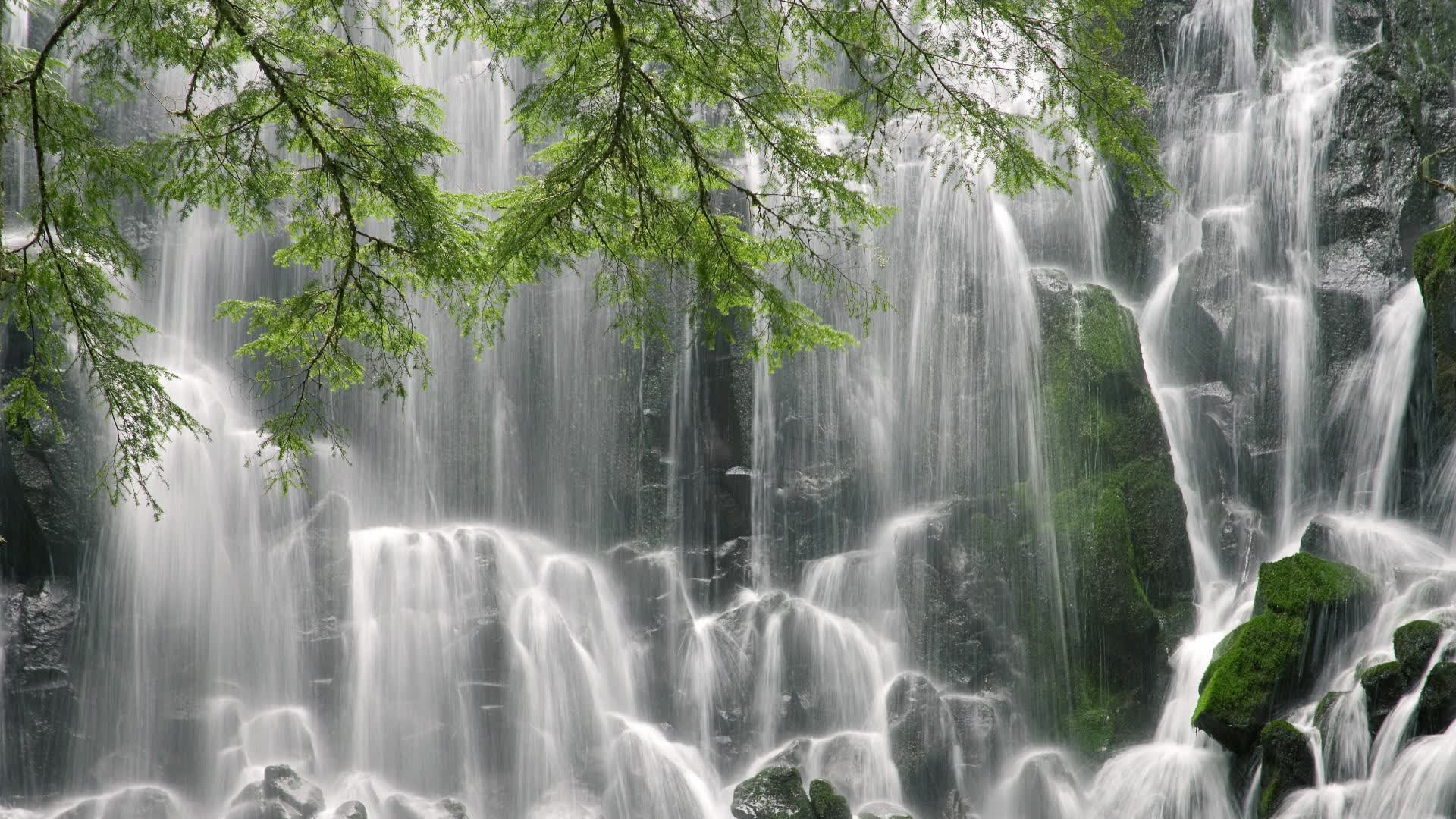 世界举重康复在线课堂新增进阶康复训练课程，世界举重比赛
